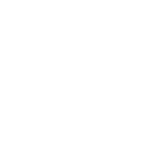 FemiHandbags Logo